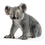 Schleich Medvídek koala 14815