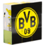 BVB foto kubus