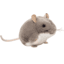Teddy HERMANN ® Myš šedá 9 cm 