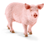 Schleich Schwein 13782