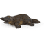 Schleich Wild Life Platypus 14840