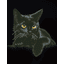 DIAMOND DOTZ® Original Diamond Painting Katze "Midnight Cat"





