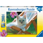 Ravensburger Puzzle XXL 100 stykker - Hvit kattunge
