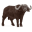schleich ® Cape buffalo 14872
