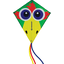 SCHILDKRÖT® Classic Kite 70 “Crazy bird”