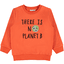 name it Chlapecká mikina NMMLA PLANET Tygří lilie
