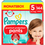 Pampers Premium Protection Pants, Gr. 5, 12-17kg, Monatsbox (1x 144 Windeln)