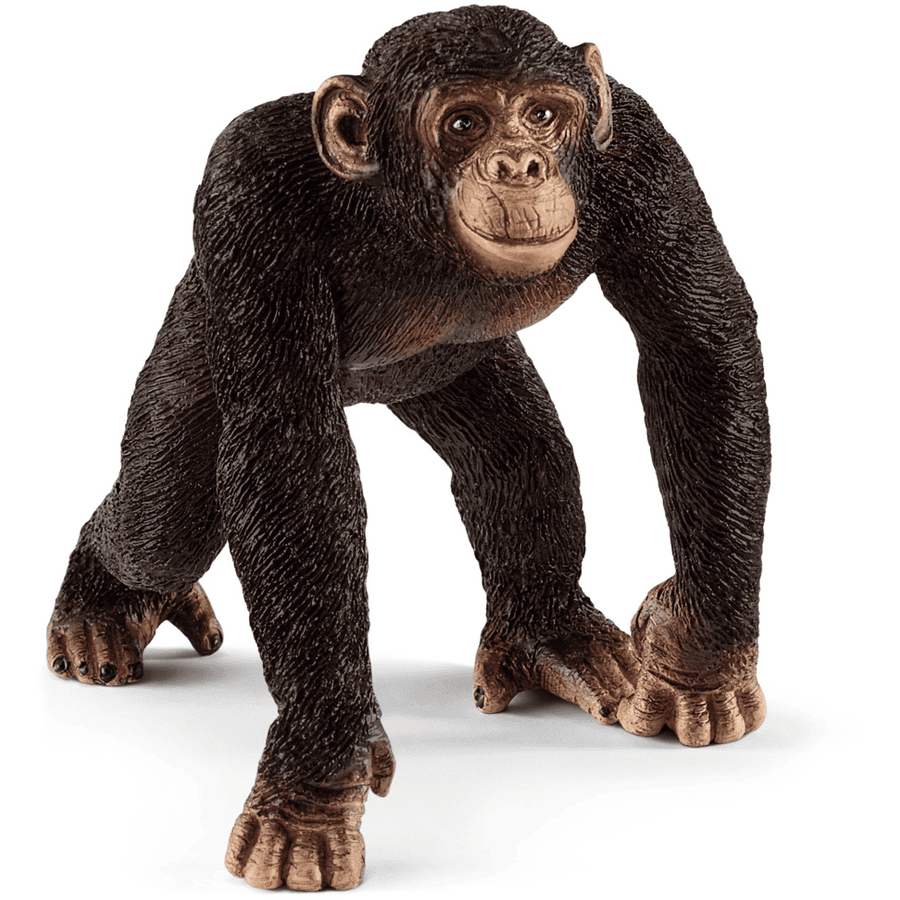 Schleich Figurine chimpanzé mâle 14817