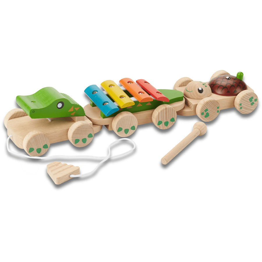 EverEarth® Muziektrein