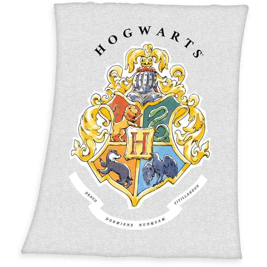 HERDING Fleecedecke Harry Potter Hogwarts 130 x 160 cm