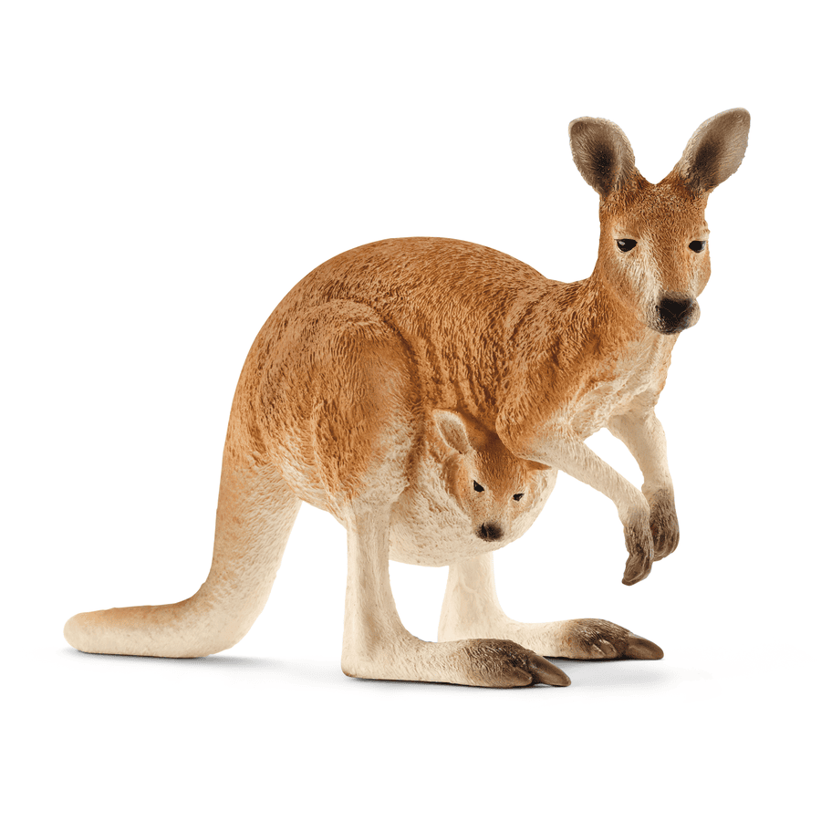 Schleich Figurine kangourou 14756