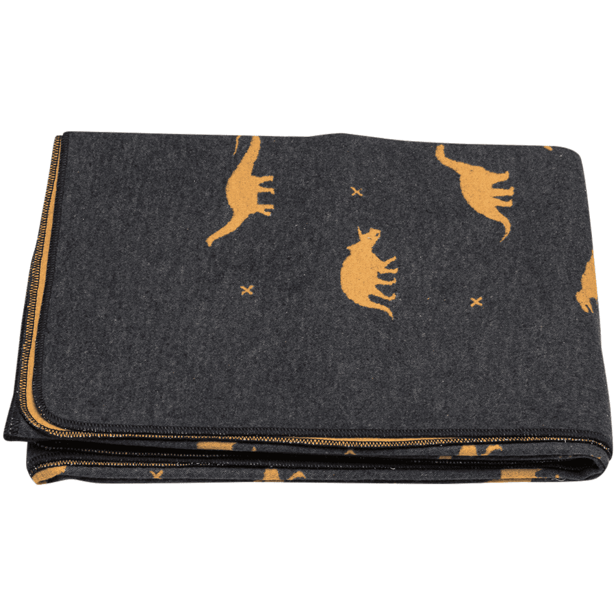 DAVID FUSSENEGGER Plaid enfant dinosaures roseoubleu.fr