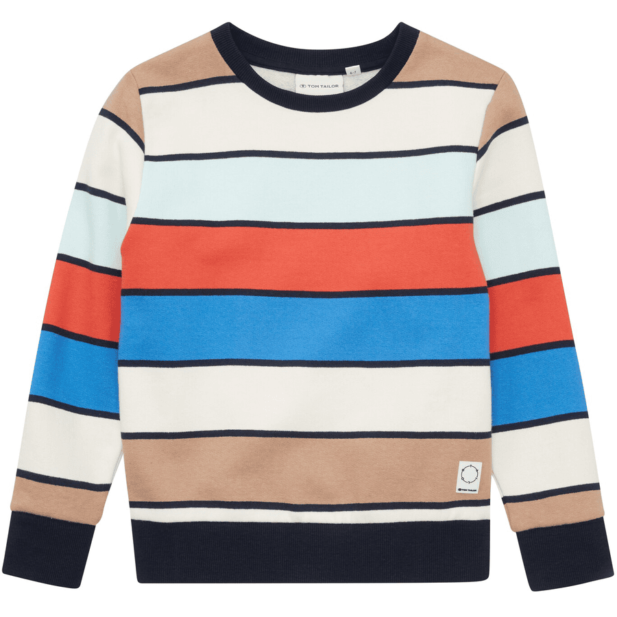  TOM TAILOR Sweatshirt stripete fargerik
