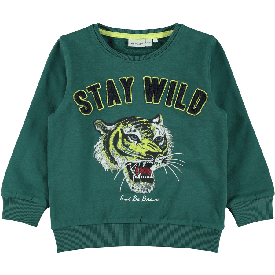 name it Boys Sweatshirt NMMLINOL bayberry 