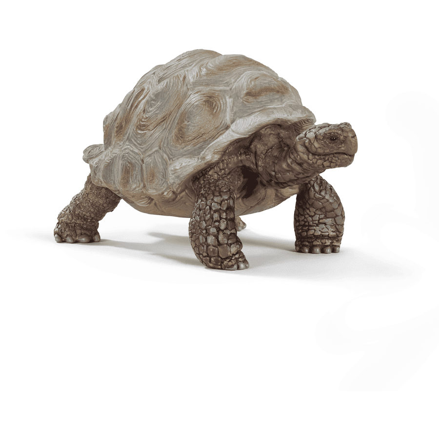 Schleich Figurine tortue géante Wild Life 14824


