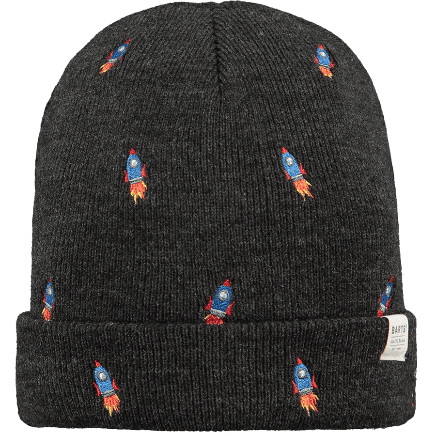 BARTS Beanie Vinson dark heather 