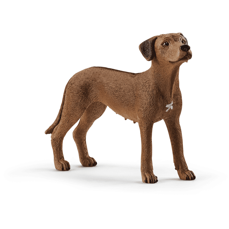 Schleich Figurine chien de Rhodésie à crête dorsale 13895


