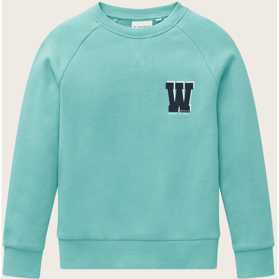 TOM TAILOR Sweatshirt raglan Dusty Green 