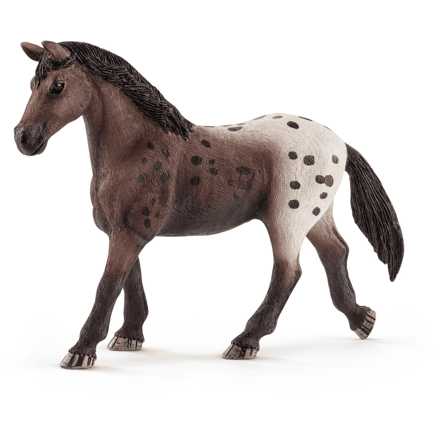 SCHLEICH Appaloosa, sto 13861