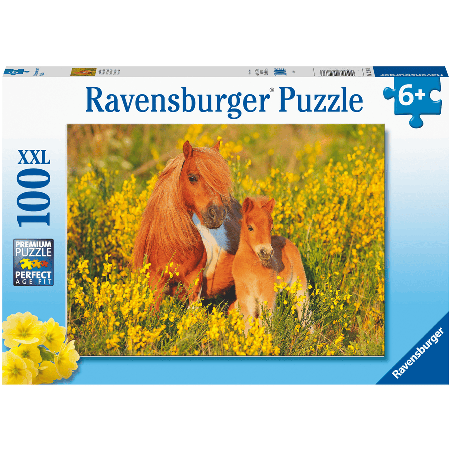 Ravensburger Puzzle XXL 100 stykker - Shetlandsponnier