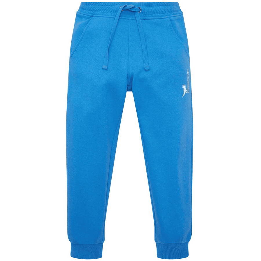 TOM TAILOR Spodnie joggingowe Strong Palace Blue