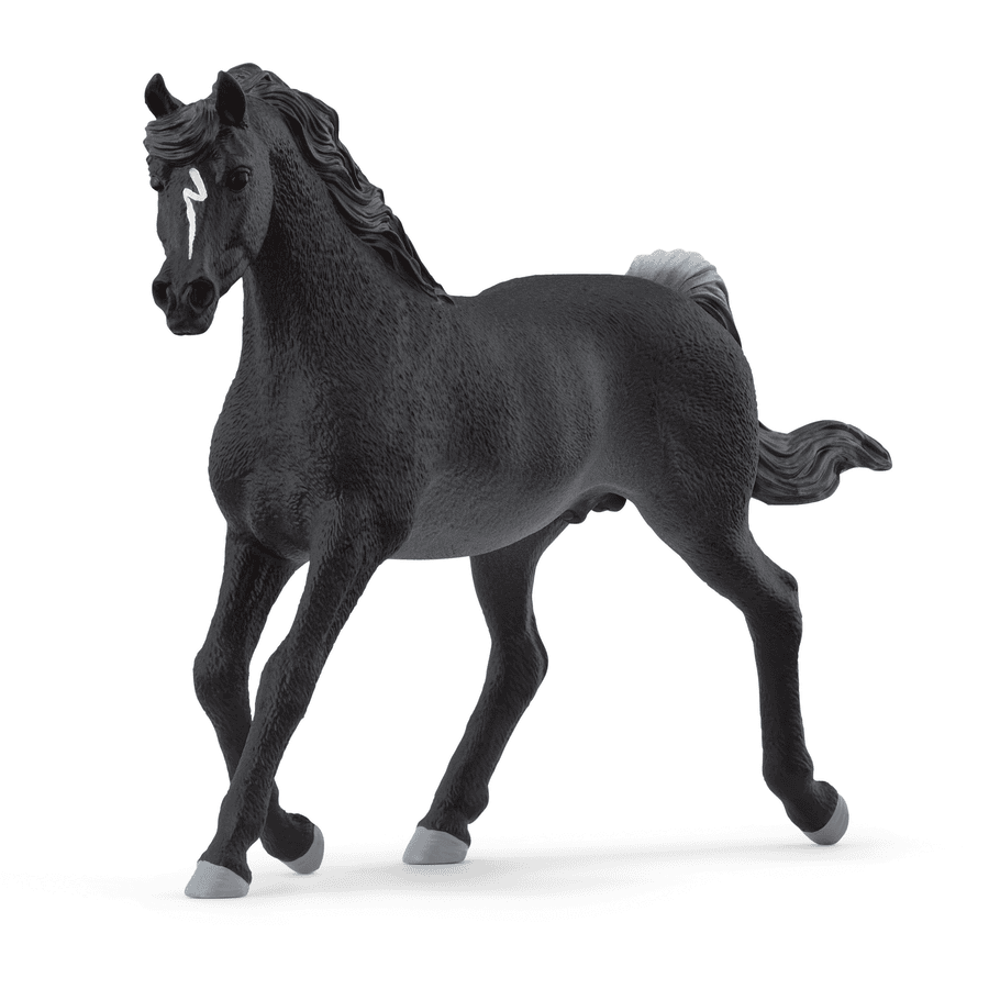 schleich ® Arabian ori 13981