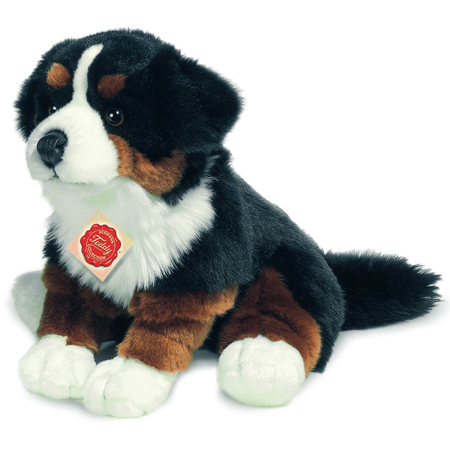 Teddy HERMANN Cane Bovaro del bernese seduto, 29 cm