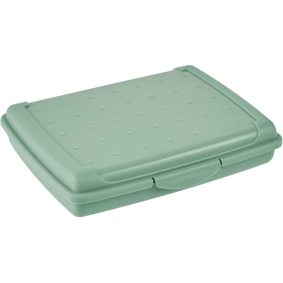 keeeper Boîte fraîcheur Luca avec fermeture à clic, mini green 0,5 