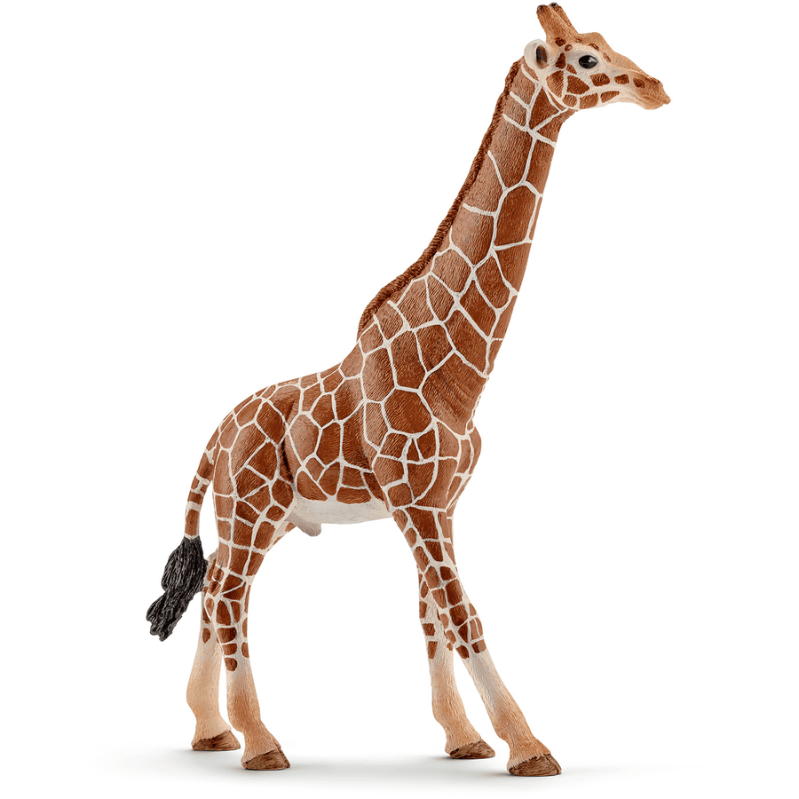 SCHLEICH Maschio di giraffa 14749