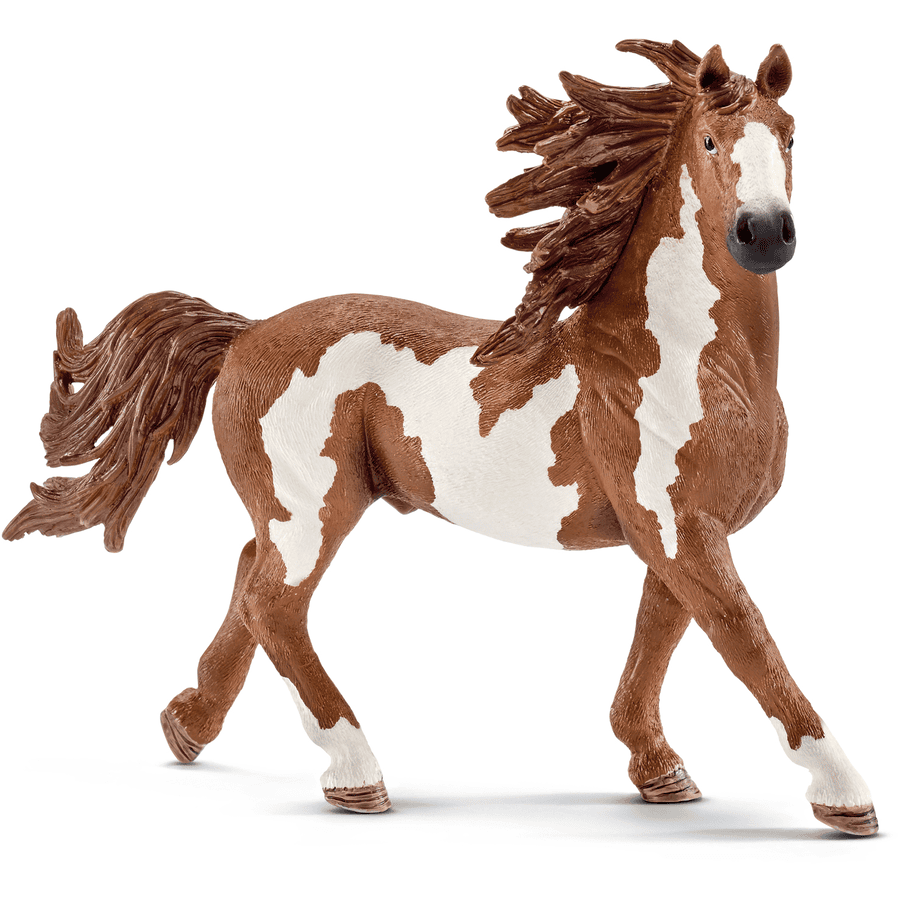 Schleich Figurine étalon Pinto 13794