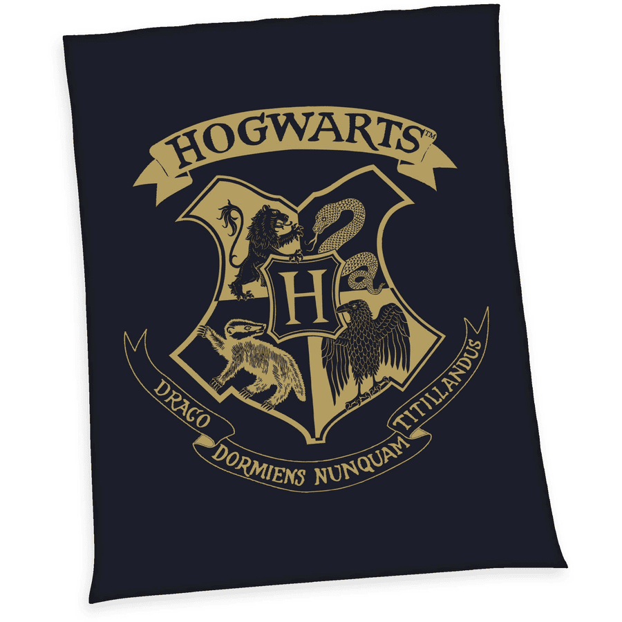 HERDING Plaid enfant duvet Wellsoft Harry Potter Hogwarts 150x200 cm