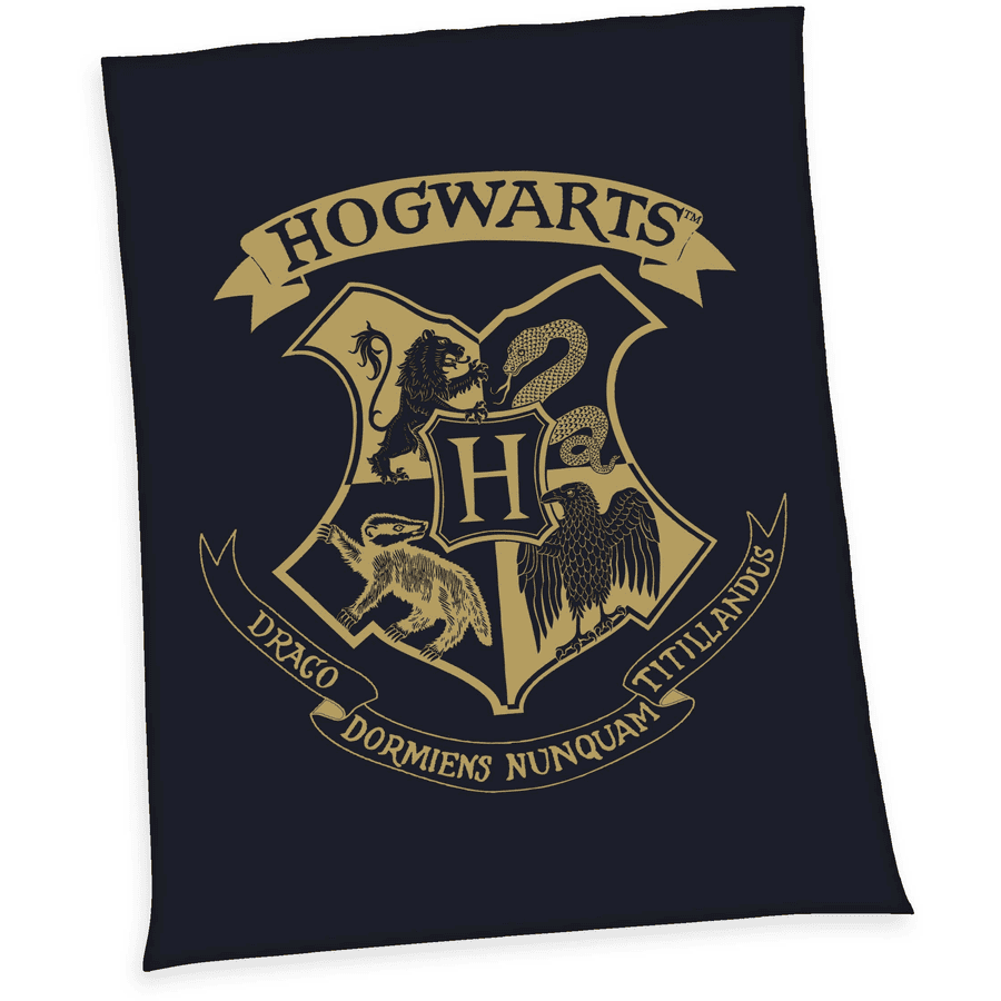 HERDING Wellsoft-Flauschdecke Harry Potter Hogwarts 150 x 200 cm