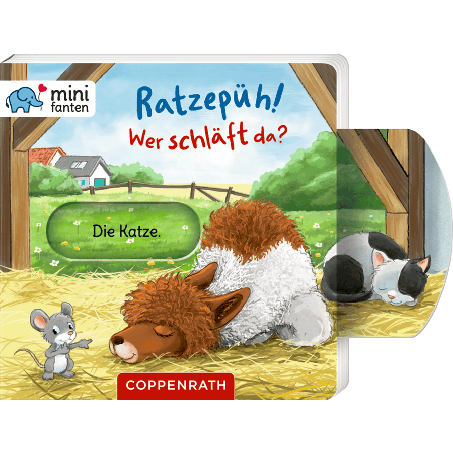 Coppenrath minifanten 41: Ratzepüh! Wer schläft da?