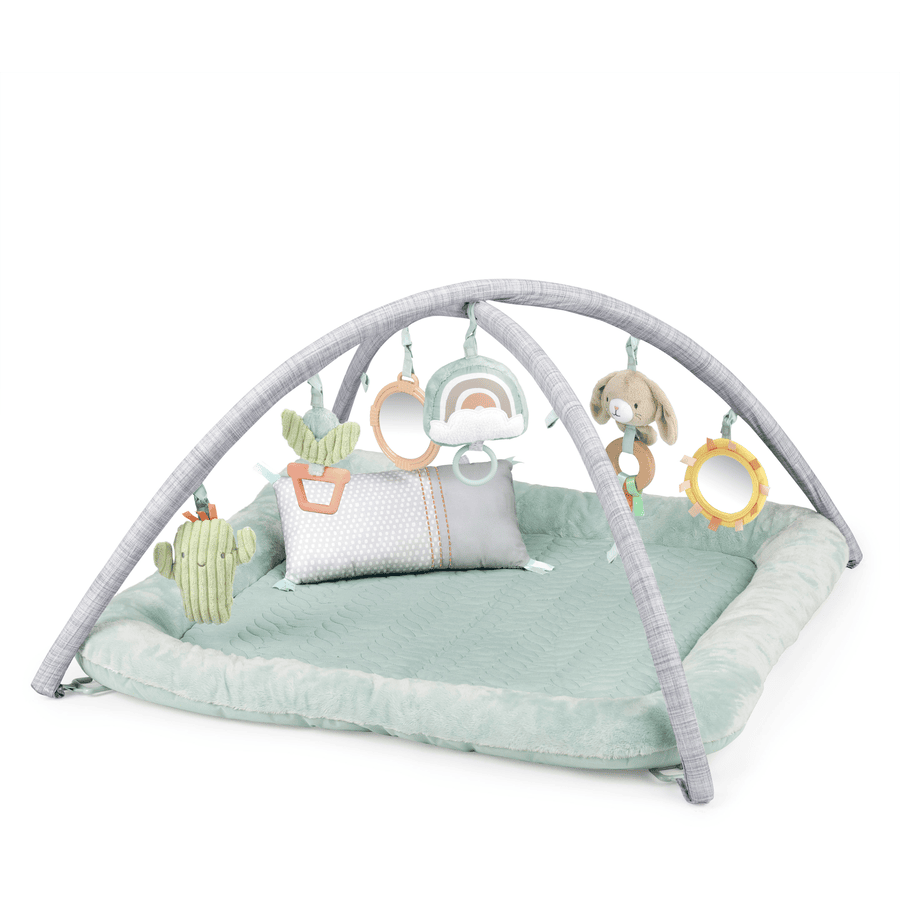 Ingenuity Premium Babygym nest