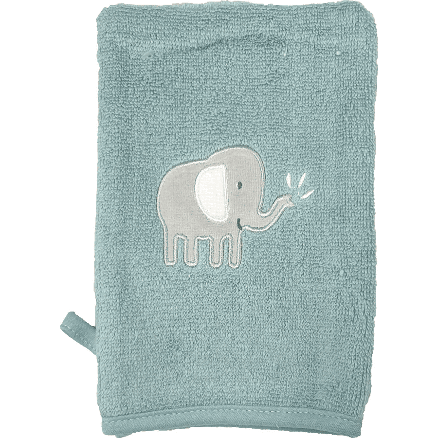 HÜTTE & CO-washandschoen 2-pack mint