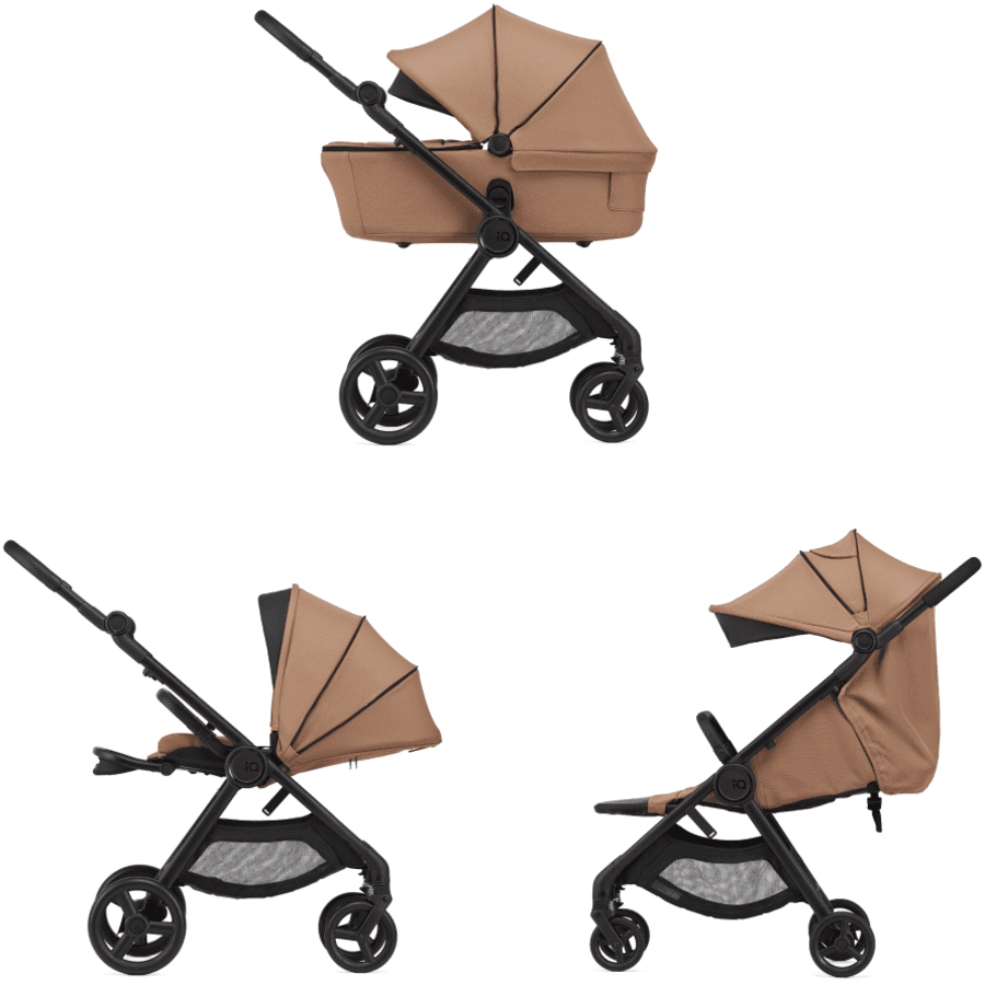 anex 2-in-1-Kinderwagen IQ inklusive Buggy Sienna