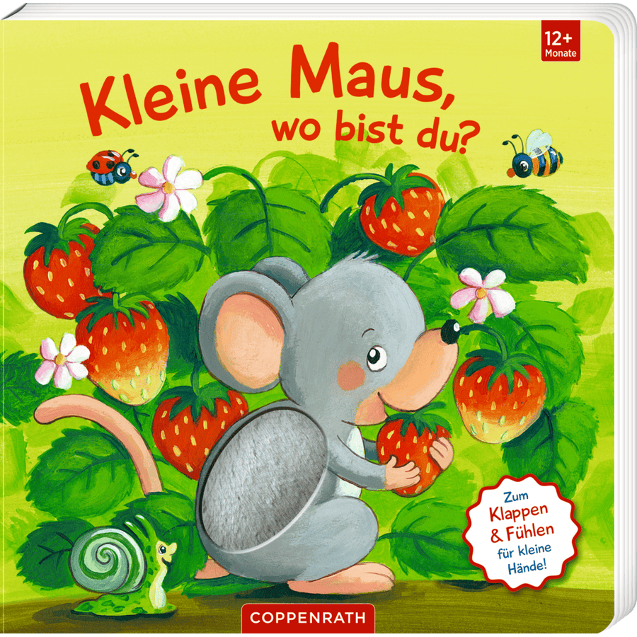 Coppenrath Mein 1. Guckloch-Fühlbuch: Kleine Maus wo bist du? (Fühlen&begreifen)