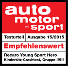 RECARO Silla de coche evolutiva gr.1/2/3 Young Sport Hero Core Simply Grey